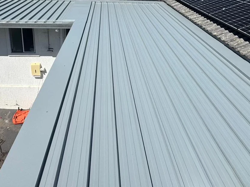 Roof Leak Sydney 001