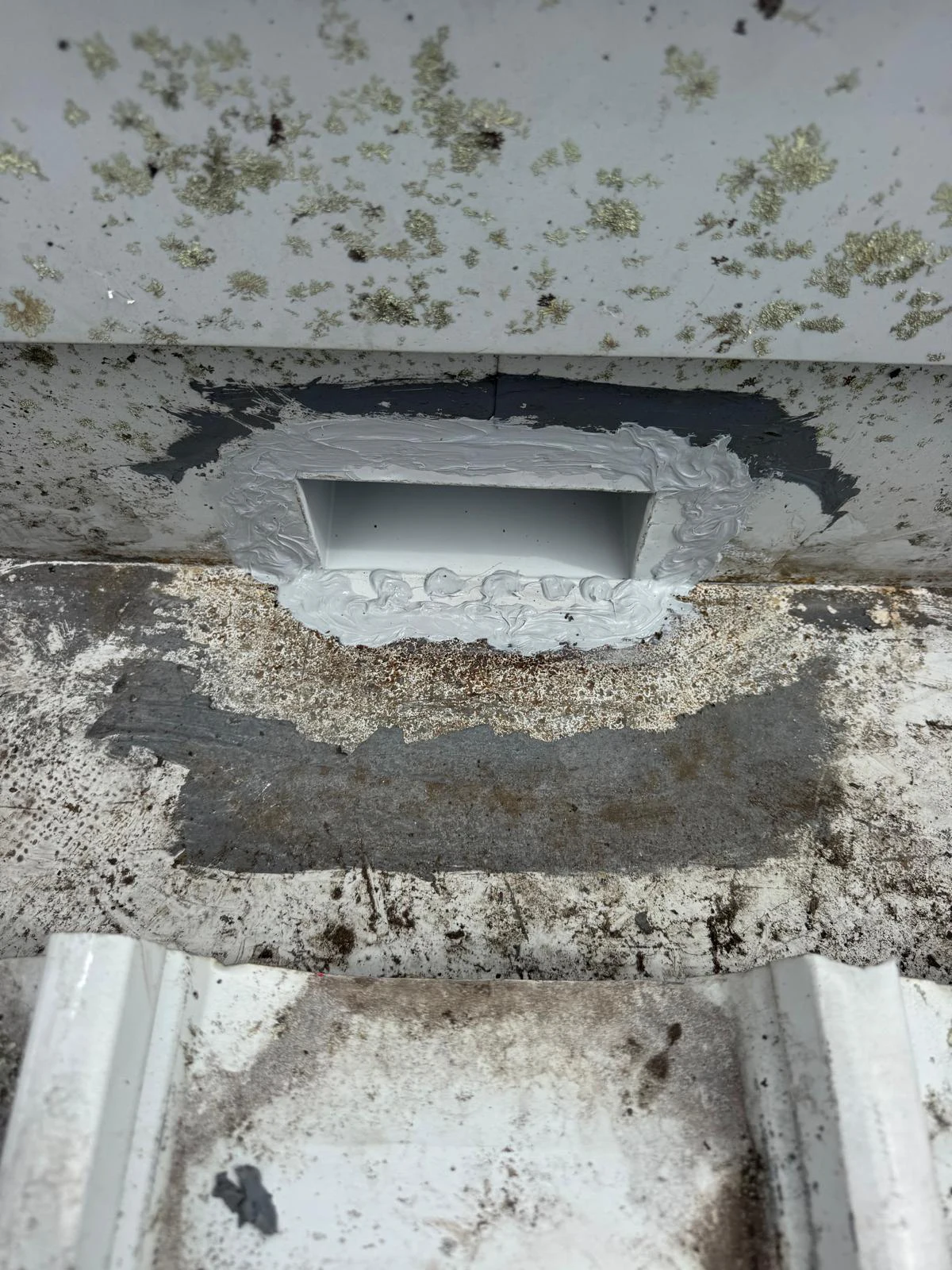 Roof Leak Sydney 2