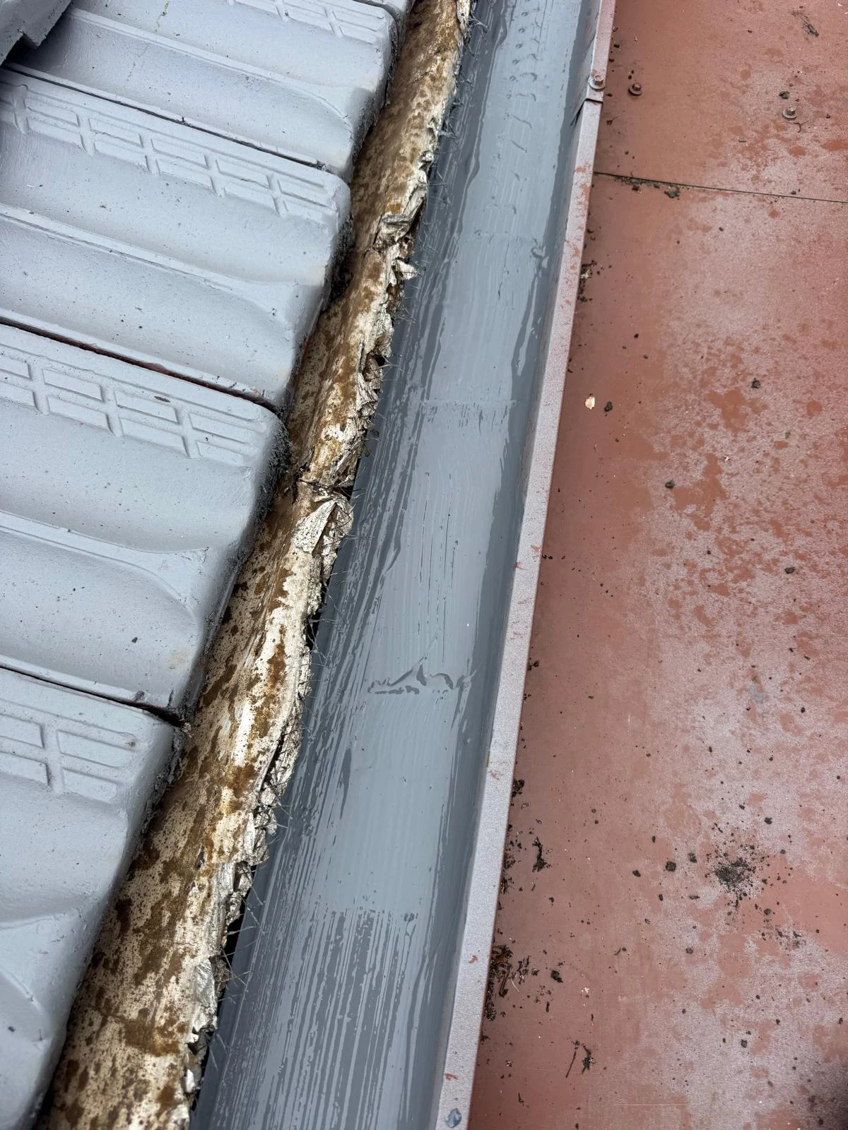 Roof Leak Sydney 4
