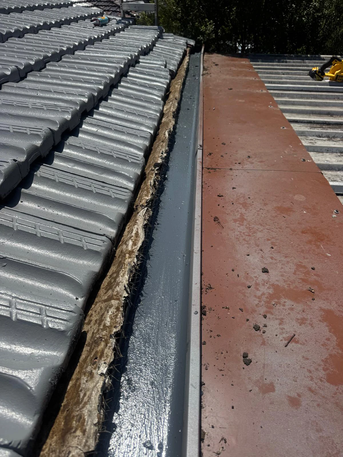 Roof Leak Sydney 5
