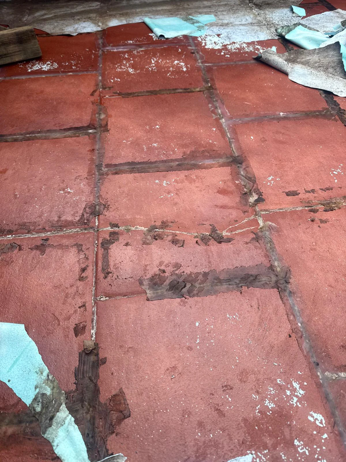 Roof Leak Sydney 6