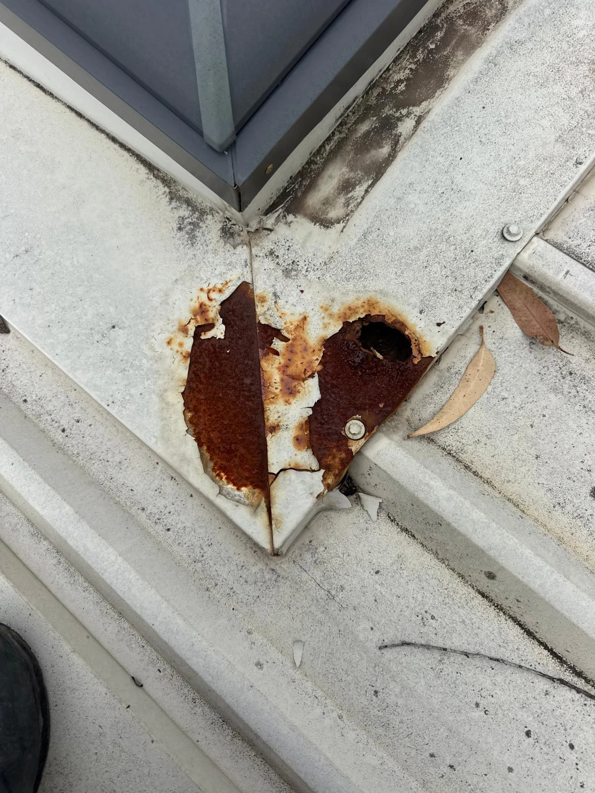 Roof Leak Sydney 9