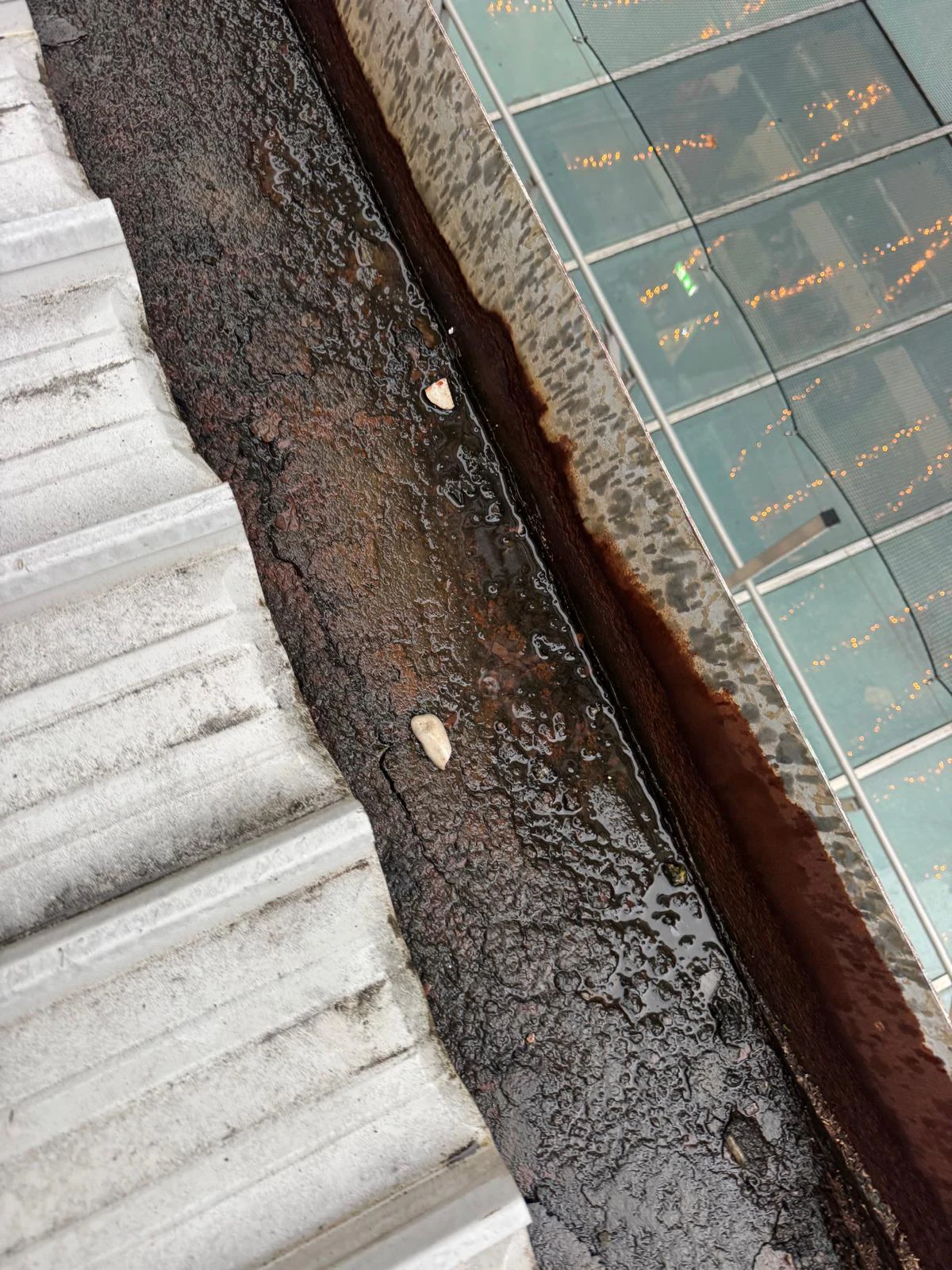 Roof Repairs Sydney 2
