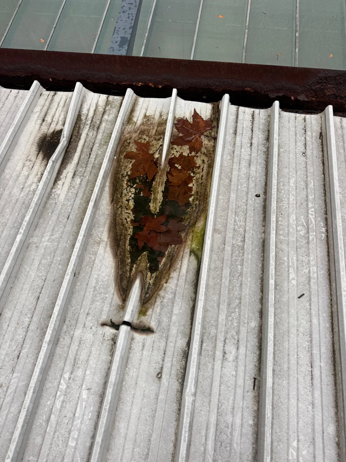 Roof Repairs Sydney 4